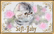 soft-baby