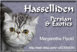 Hasselliden cattery